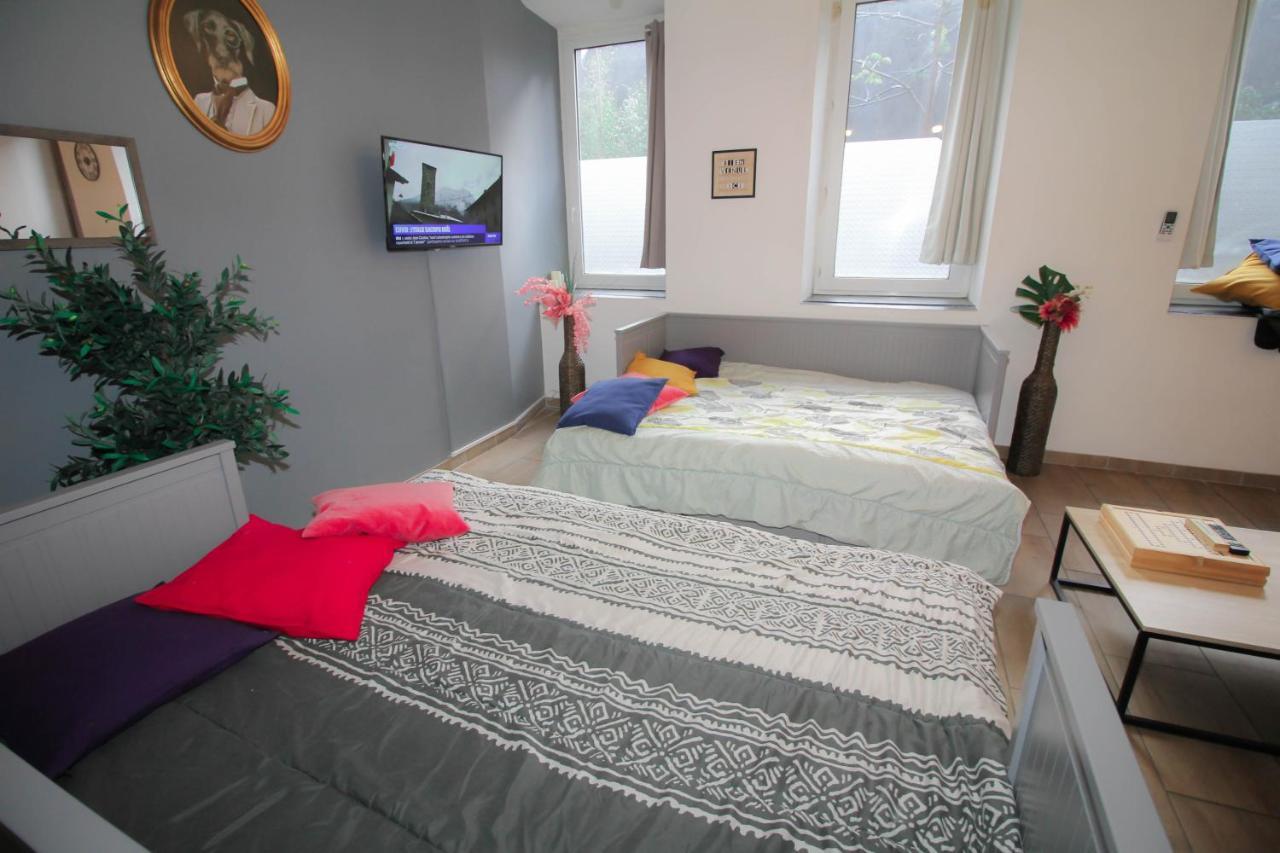 Calme en centre ville Appartement , spacieux et rénové à 50m de la Place Carnot Carcassonne Exterior foto